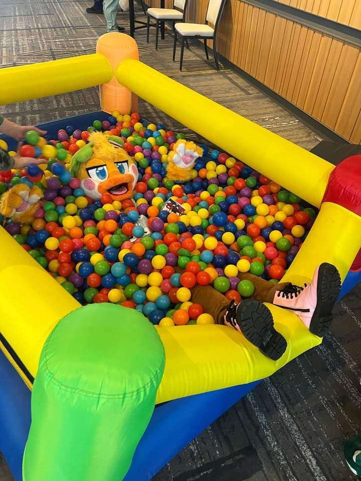 Duck in the ball pit!!!
#anw2024 #anthroNW