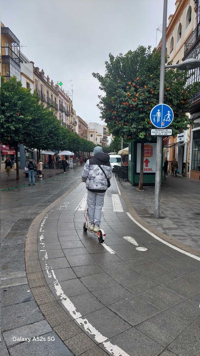 Buenas noches 
Comunicar que esta mañana a las 11 h. Paseando por la calle San Jacinto vi como siguen son respetar la placa y pasan a gran velocidad incluso bicicletas.
Según la placa no se puede circular y pasan de todo.