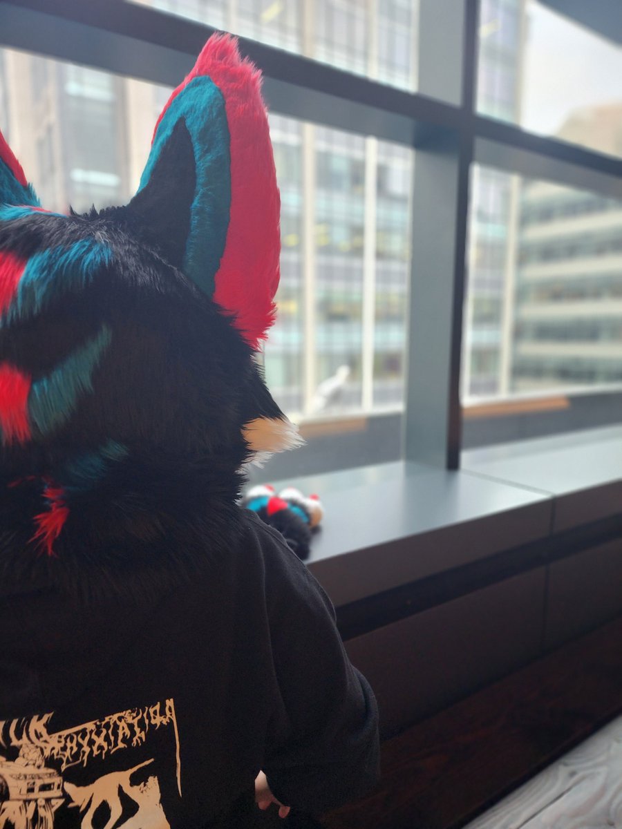 Thank you <a href="/awkangel_suits/">✨Tarō 🔜 ANW25 ✨</a> and <a href="/jupitermutt/">jupie 🌠 @ ANTHROCON</a> for helping make my first Furry con the best con experience I could have 💖

I can't wait for more furry hilarity with you both! Anthrocon maybe~

#anw24 #anthroNW