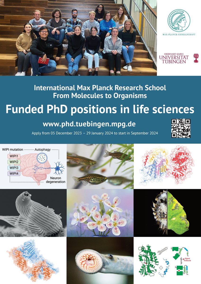 Are you planning to do a #PhD in #EvolutionaryBiology? do you like thinking about complex questions? Wanna integrate genomics, experimental evolution, population genetics? Get in touch with me! There are still 2 weeks to apply for our International #MaxPlanck PhD program 👇🏽