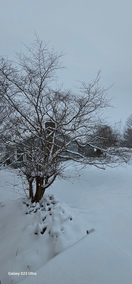 Kirk_Yates's tweet photo. Snow ❄️ Day January 15th 2024 &amp; Martin Luther Kings Day https://t.co/2BsdLRBPcw