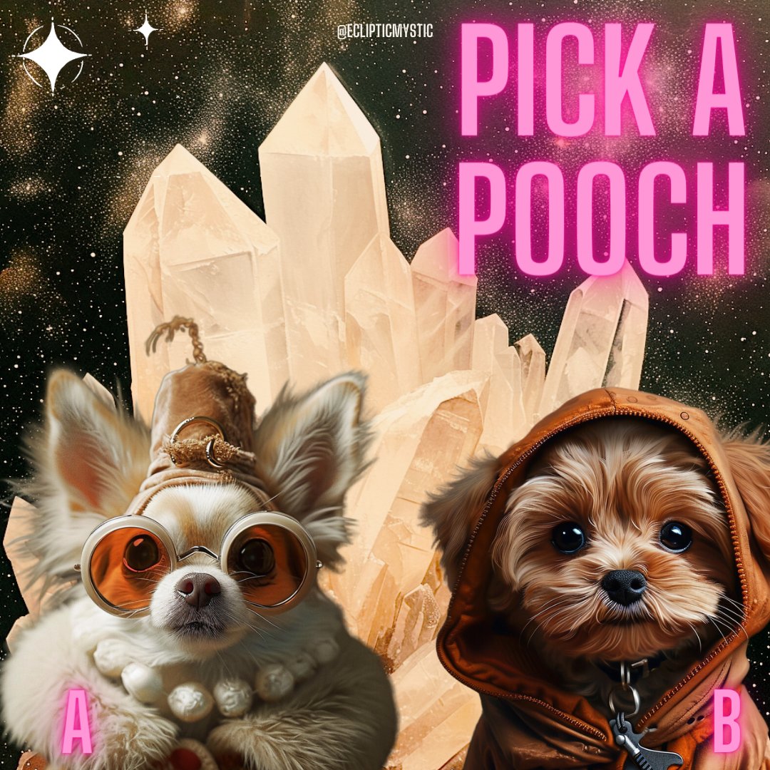 mynewphase's tweet photo. 🐕✨ It's 'Pick a Pooch' Day,🎴🔮 Swipe to see two mystical mutts awaiting your choice. Pawse for a moment and let your intuition lead you to your tarot tail - will it be Pooch #1 or Pooch #2? �� Card reveals and destiny details in the comments!🌟💖 ✨ #PickAPooch #TarotTails https://t.co/J6NhQsrPg7