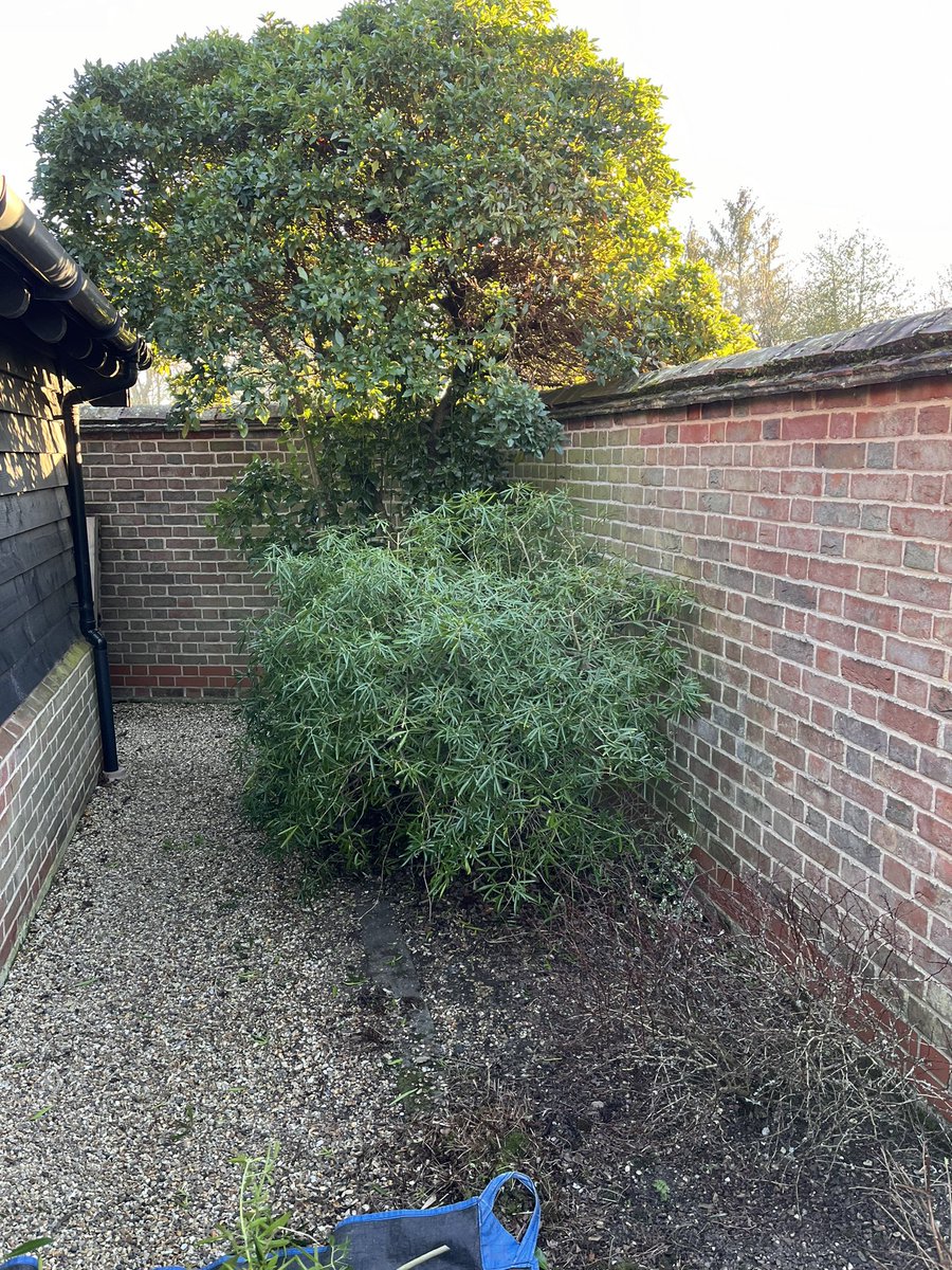 DH_Maintenance's tweet photo. Then the #plan #cameoff - first visit &amp; #grass #needed topping - had #thawed enough to get it done before #tonights #heavy #frost👍- then it was #cuttingback &amp;  #shaping 👍 have a good evening everyone hope the #weather is #kind 🤞 stay safe &amp; warm❤️ https://t.co/I94egJPblz