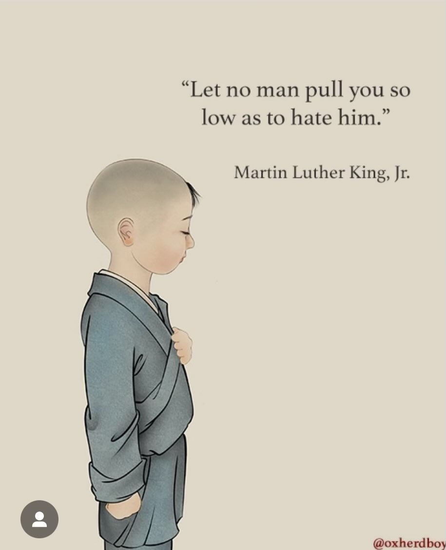 LydiaCornell's tweet photo. “Let no man pull you so low as to hate him” ~ Martin Luther King, Jr. https://t.co/SFLFTg399T