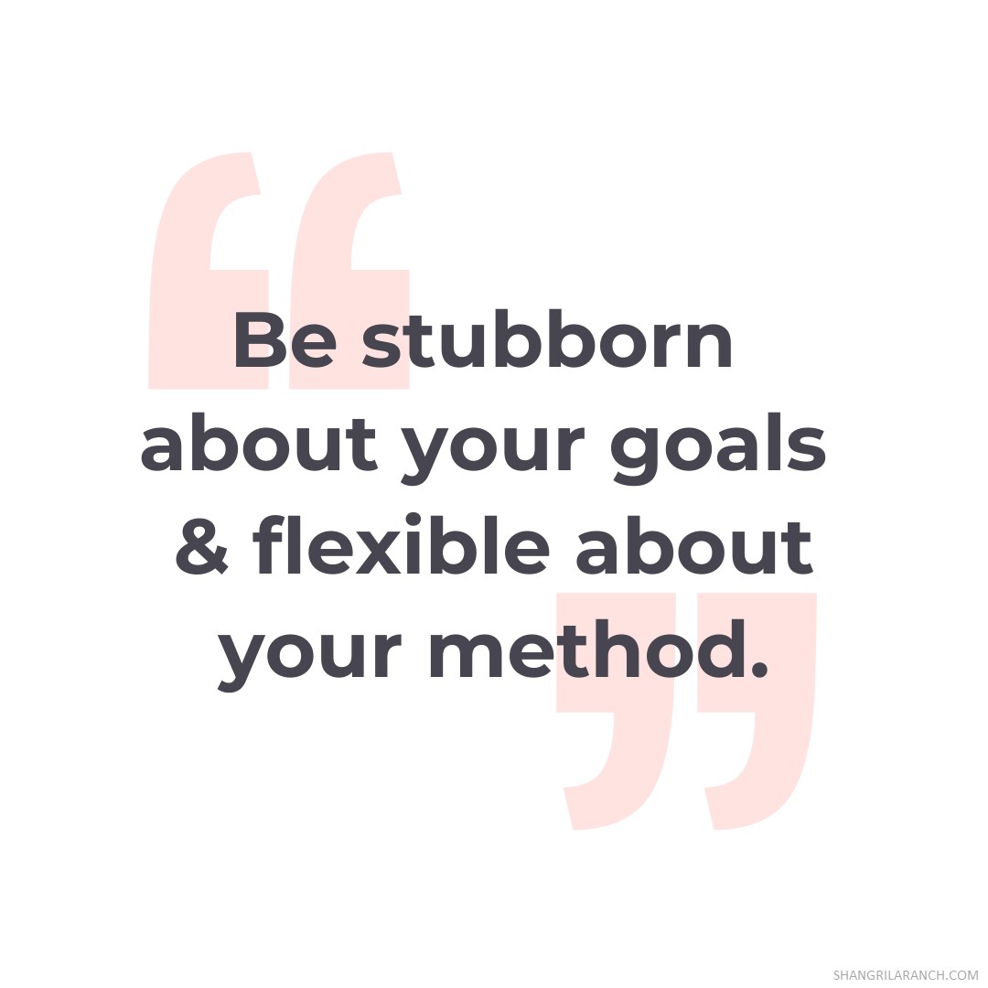SLRNude's tweet photo. Keep your goals rigid and your strategies adaptable. Success is all about finding your way, not losing your focus 🏆#PersistentGoals #FlexibleMethods 🧭 https://t.co/jDtUoMBwUV https://t.co/FHqRDoSWTa