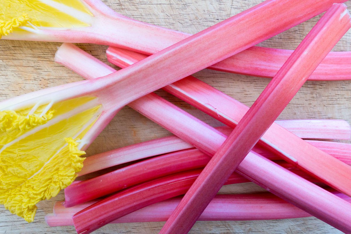 derbyshireveg's tweet photo. 🥧 This year we are hoping to be hitting the crumbles a little earlier with some forced rhubarb! Find out how to join us here! 🌱👇🏼

https://t.co/HsmJ7vBzAT https://t.co/CaqhshIGFH
