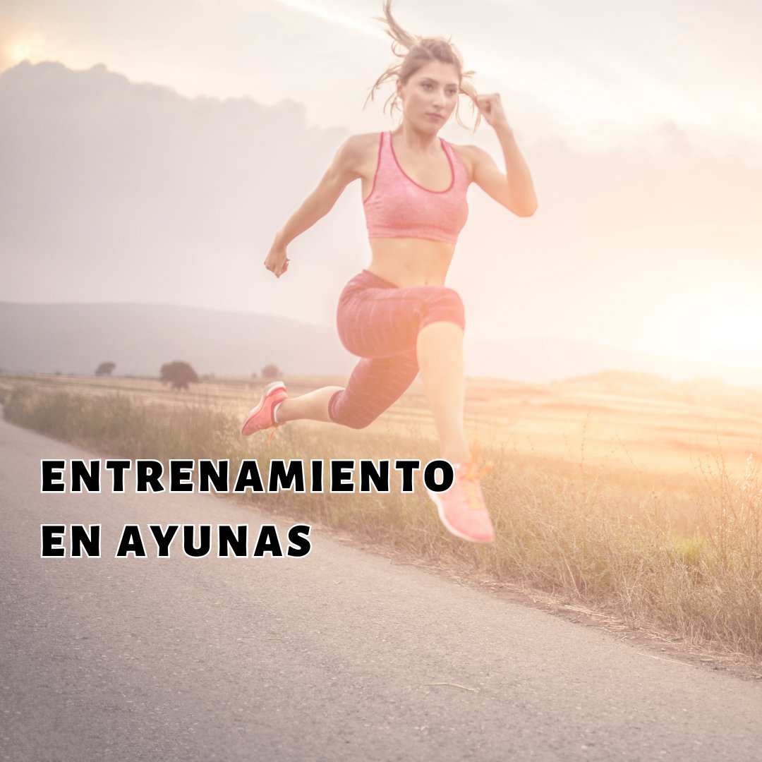Aprende los pros y contras de entrenar en ayunas.

En este artículo, exploraremos a fondo los pros y contras del entrenamiento en ayunas para que puedas tomar una decisión informada sobre si es adecuado para ti.

enformaherbal.com/?p=10281&previ…