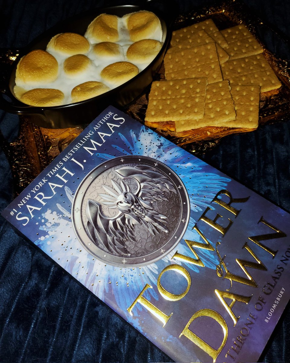 ✨️ Racing to finish all of Throne of Glass before Crescent City House of Flame and Shadow comes out!