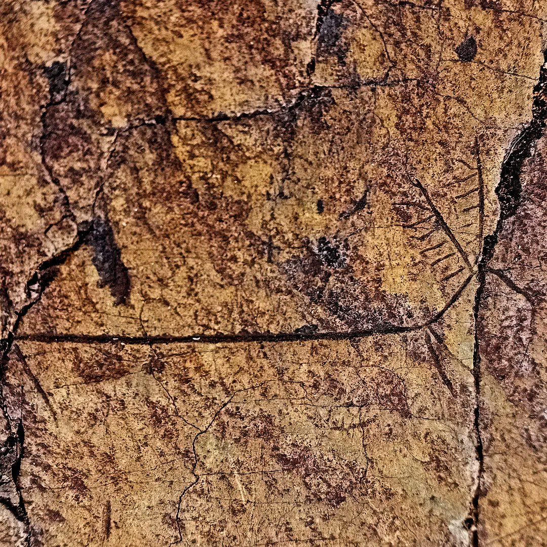 Acabo de descobrir un conjunt de gravats rupestres prehistòrics a un centenar de metres de la frontera amb Andorra . Hi ha una gran varietat de representacions, però destaco la figura d'un cérvol que era la divinitat que representava  el cicle de mort i renaixement de la natura.