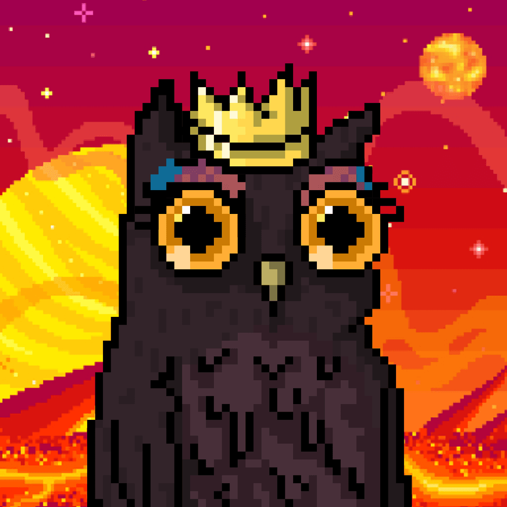 OkayOwls tweet media