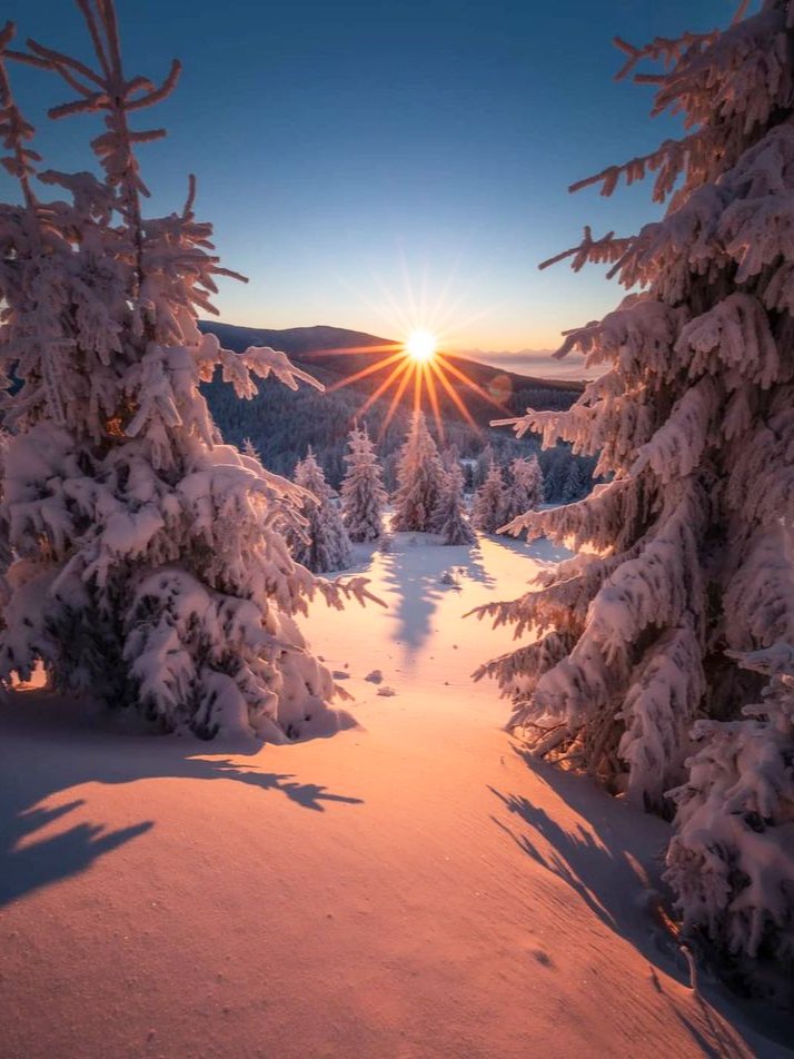 <a href="/ANGELESBERMEJO1/">ANGELES 💚☘️🌷</a> Good morning dear Angeles. Thank you and I wish you a wonderful Monday and a happy new week 🧡🧡