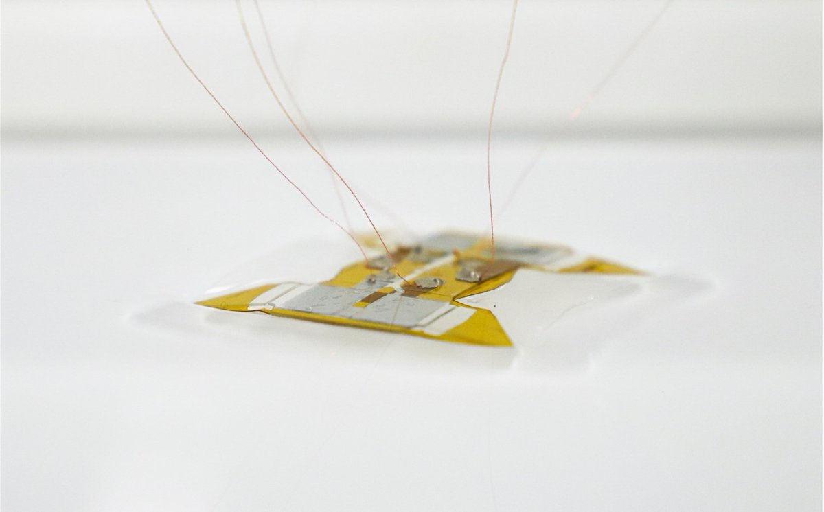 🤖 Unveiling the SOMIRO G1 Prototype! 🌟

Explore the cutting-edge world of soft robots with a sneak peek at our latest creation – the SOMIRO G1 Prototype. 🚀🤯

Discover more about the SOMIRO G1: bit.ly/3nIaYi9 

#SOMIRO #RoboticsInnovation #SoftRobots