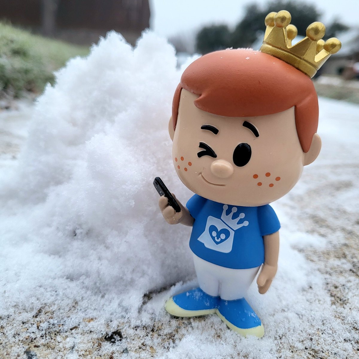 Freddy out there snapping photos of the light snow we got. @OriginalFunko