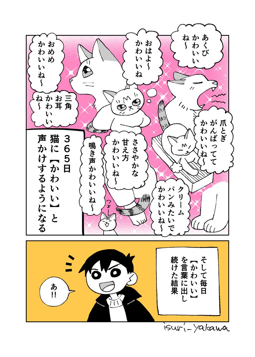 猫と生活して変わったこと #絵日記 