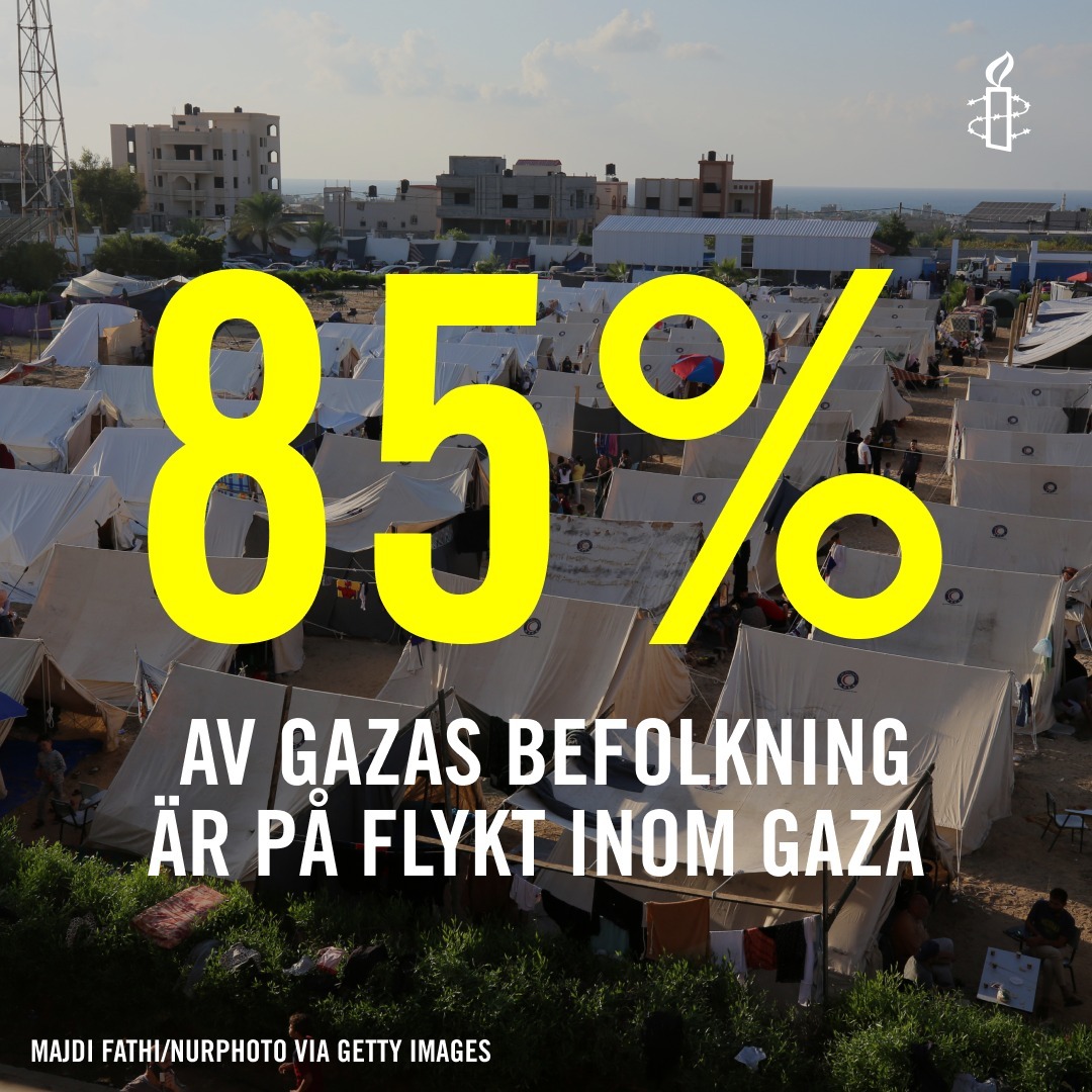 AmnestySverige's tweet photo. Över 85% av Gazas befolkning, 1.9 miljoner är på #flykt inom #Gaza. 
Tillgången till rent vatten och mat är nästan obefintlig och stora delar av norra Gaza är obeboeliga. 

En varaktig vapenvila krävs för att den humanitära katastrof som råder inte ska fortsätta växa. #Israel https://t.co/Uu9tZXilic