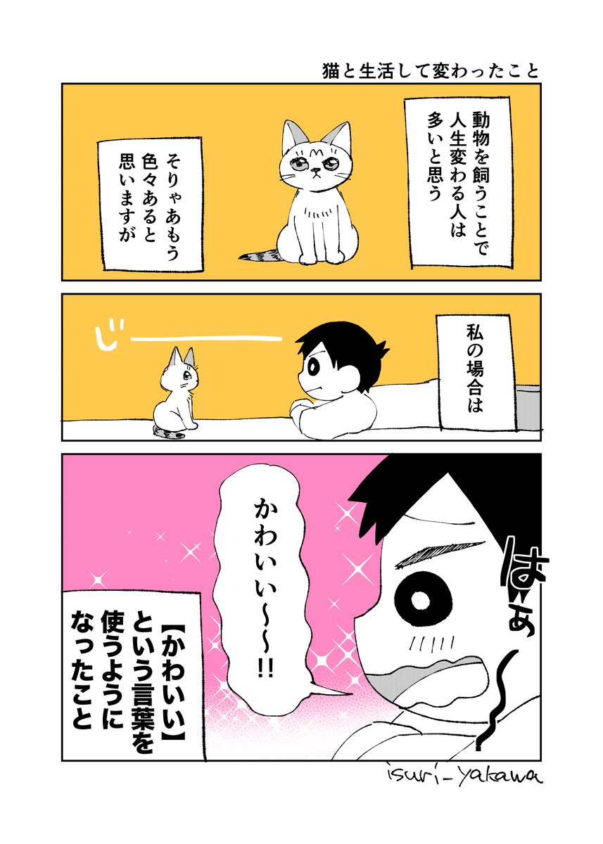 猫と生活して変わったこと #絵日記 