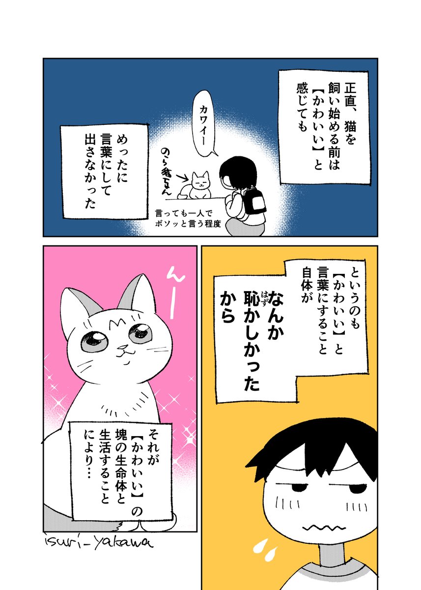 猫と生活して変わったこと #絵日記 