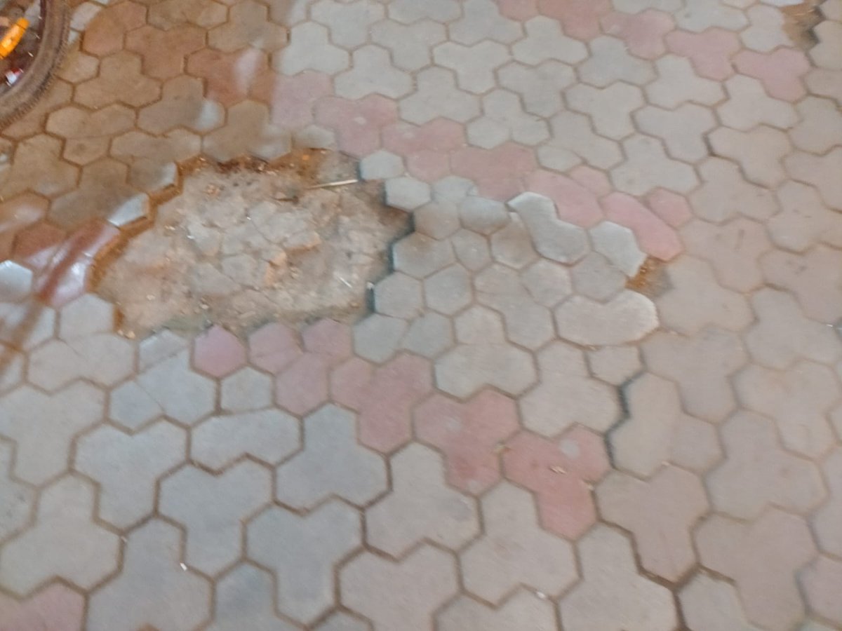 vikas20152016's tweet photo. @MCChandigarh it’s the public path condition of sector 15 -C Entire Market SCO 10 to SCO 30 . Please Look in to the matter on urgent basis . 
@ChandigarhCmc  
@Anindit78972609 https://t.co/royREqieGT