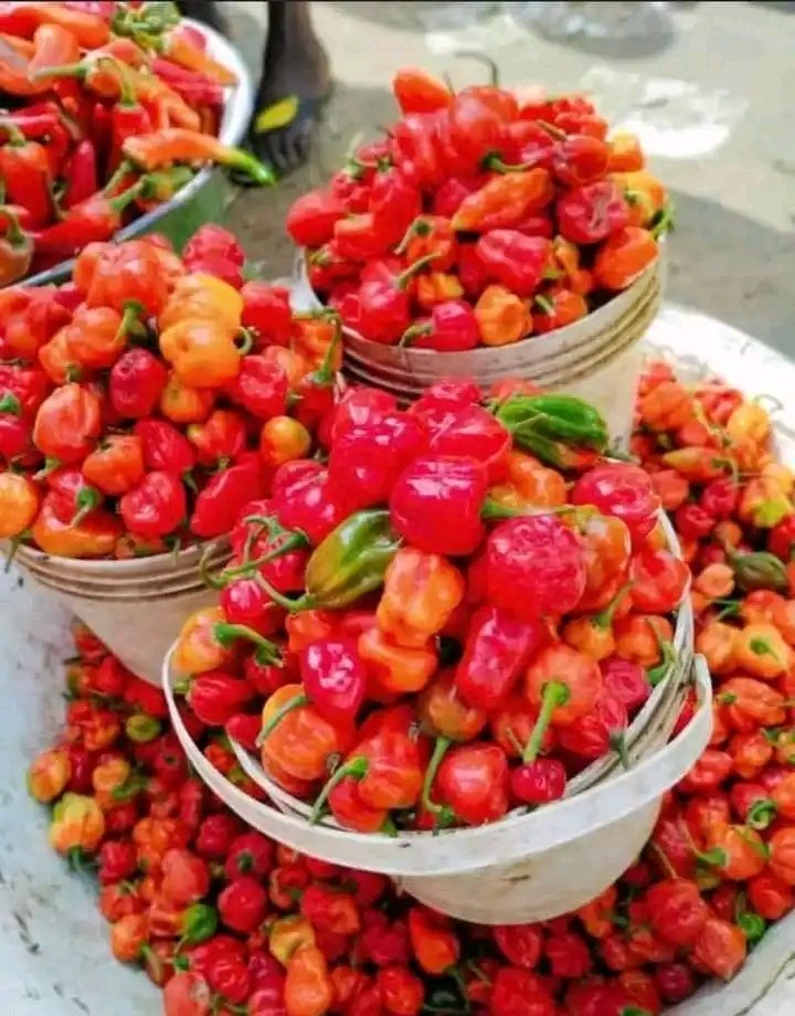 amaranweke4's tweet image. I sell anything foodstuff ranging from kulikuli, rice, tomatoes, onions, pepper, salad items etc and I deliver nationwide too