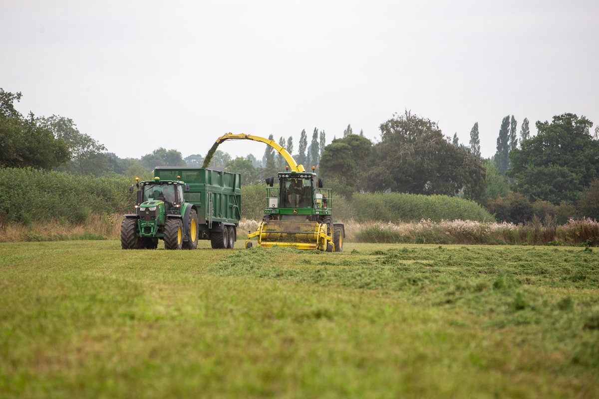 GerminalUKAgri's tweet photo. With up to five or six cuts a year, multi-cut silage boosts both quantity and quality.
Despite the freezing conditions, you can still plan. Let's navigate through the challenges and explore the advantages a multi-cut system could bring to your #farm: https://t.co/pTiePX04Jg https://t.co/Wnk4q2sfit