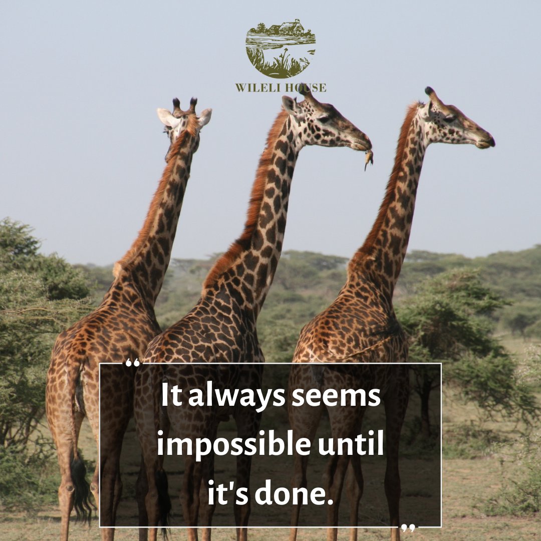 Trust in your abilities, tackle each challenge one step at a time, and before you know it, what once seemed impossible will be a remarkable achievement. Your determination and perseverance will turn the impossible into the conquered.

 #mondaymotivation #quotes #positivity