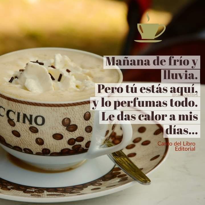 AromaMioCafe's tweet photo. Excelente día, queridos amigos!
¡Café calientito para todos! ☕️ https://t.co/Yz2o1RjEPO