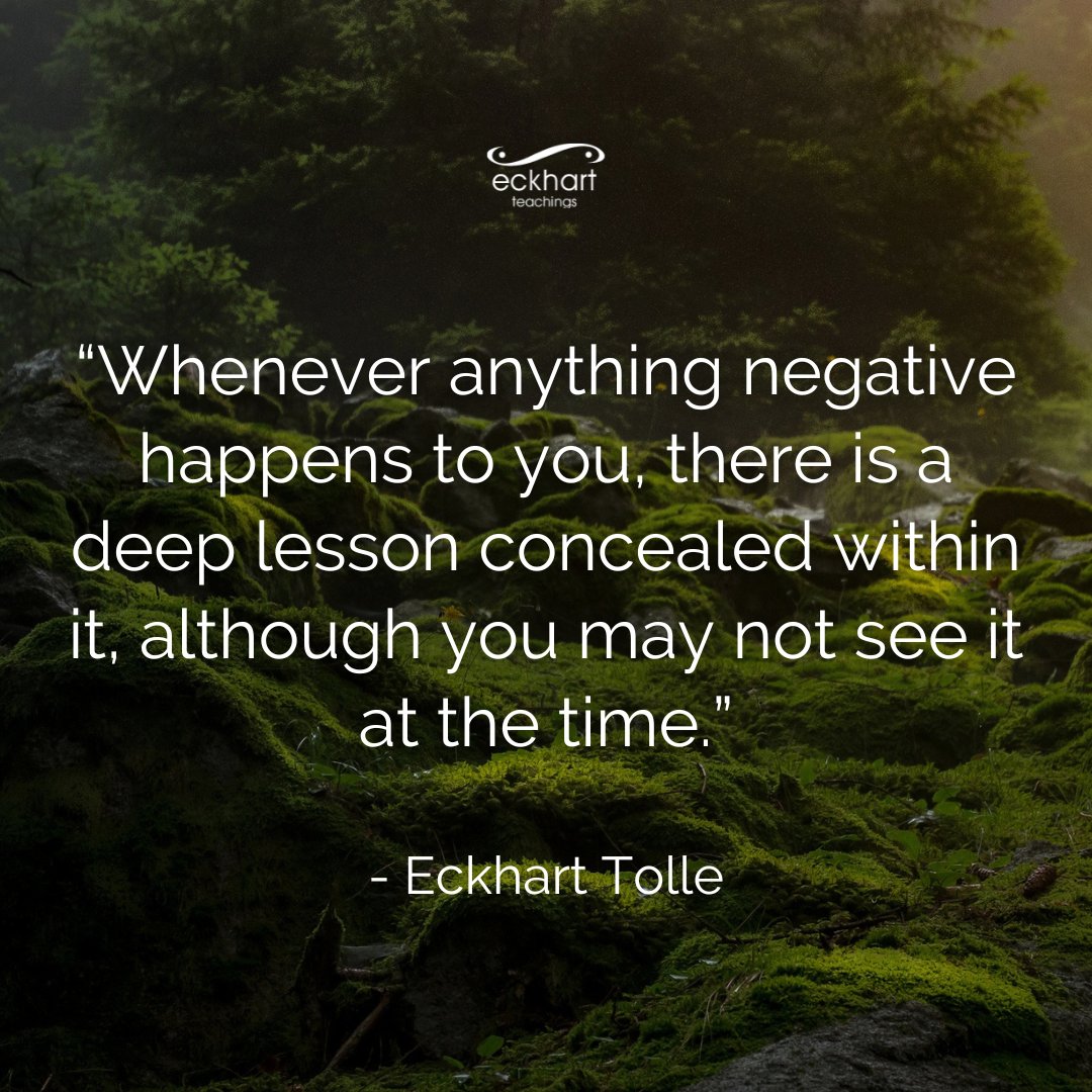 “Whenever anything negative happens to you, there is a deep lesson concealed within it, although you may not see it at the time.” - Eckhart Tolle
