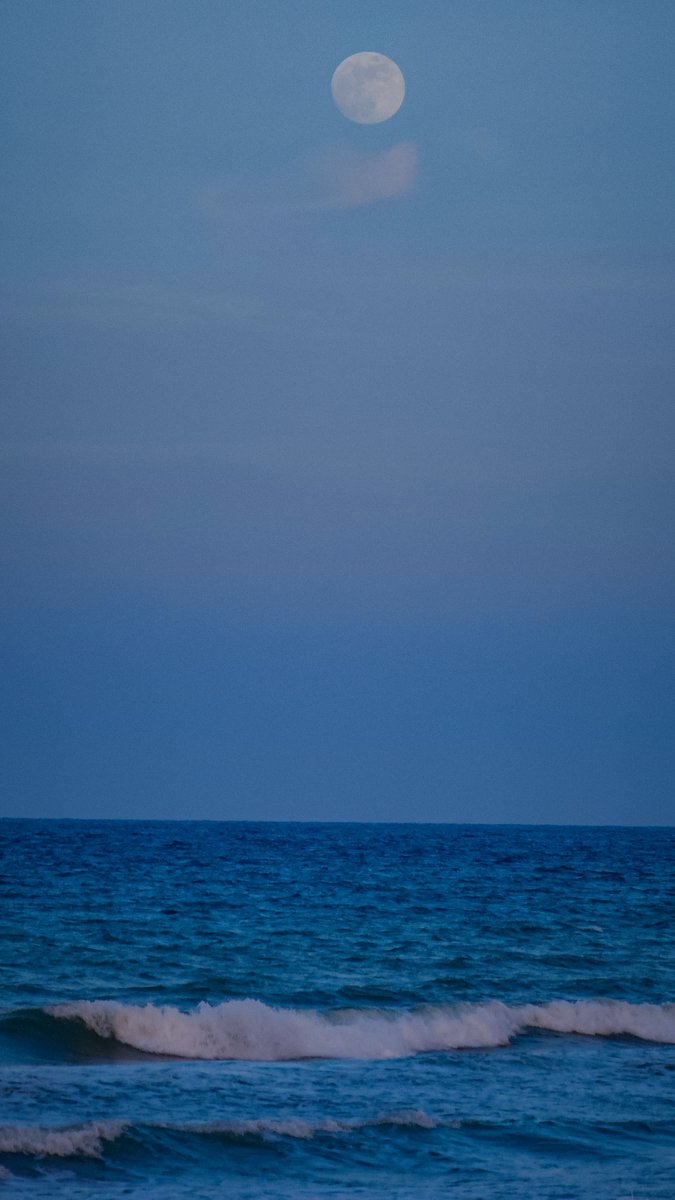 والله إنك لقلبي ملجأ و حياة 🌑