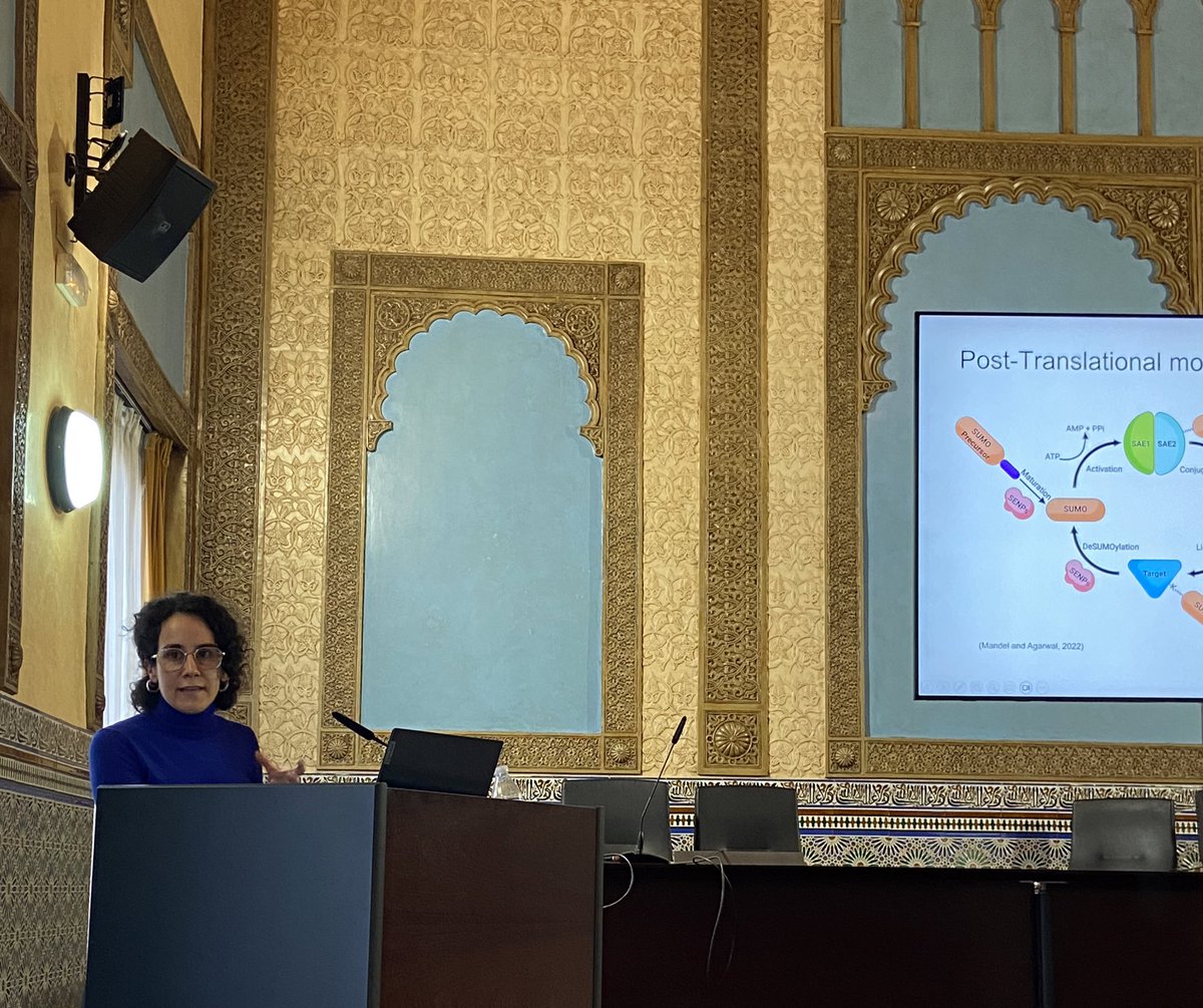 OncMet27's tweet photo. Next, Claudia M. Rejano-Gordillo, from @chantarlab, shares her job on SUMOylated TIGAR: A Key Modulator of Metabolic Balance in Liver Cancer 🔬⚖️

#MetaboCancer https://t.co/6kChzMQZdw