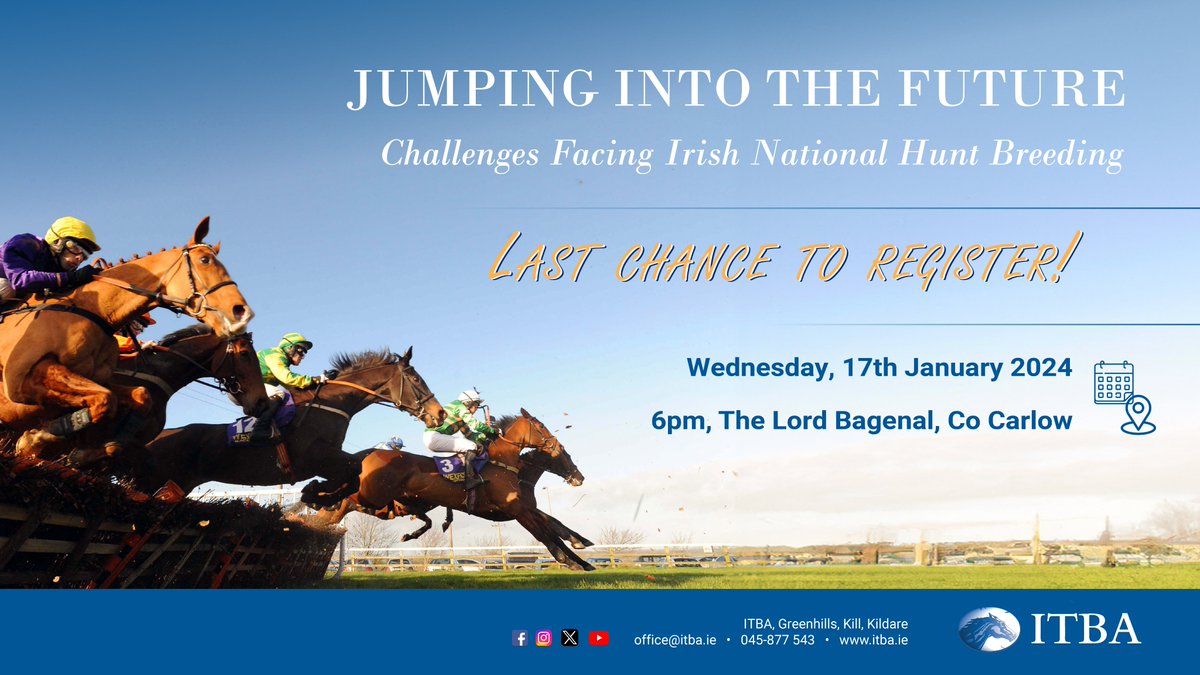 ITBA_Official's tweet photo. 𝐋𝐚𝐬𝐭 𝐜𝐡𝐚𝐧𝐜𝐞 𝐭𝐨 𝐫𝐞𝐠𝐢𝐬𝐭𝐞𝐫!!

Don't miss the ITBA National Hunt Seminar with an expert industry panel looking at the challenges facing the NH industry
🗓️Wed 17th Jan 2024, 6pm 
📍The Lord Bagenal

👉FREE to attend and ALL welcome! Register to ddeveney@itba.ie https://t.co/j0NagjG7RC