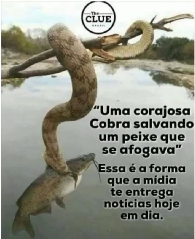 AdalbertoCris19's tweet photo. @rodrigodba1024 @MagnoMalta 🤡🤡🤡 https://t.co/lpF2QkpgfE