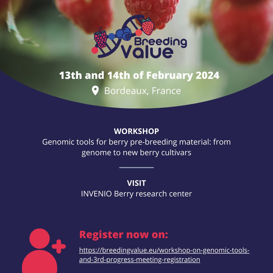 INVENIO - pôle Innovation Variétale Fraise tweet media