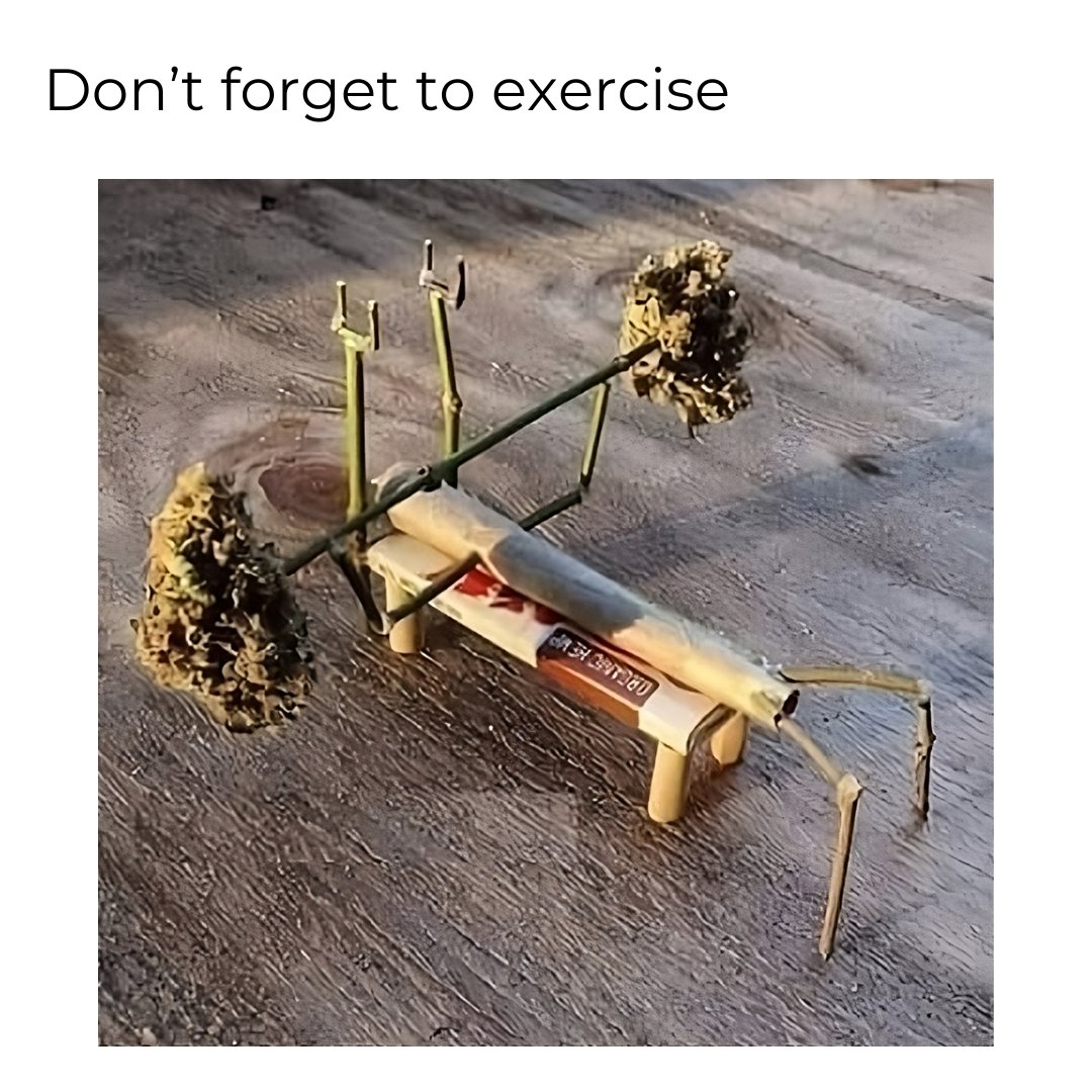 GreenCulturED's tweet photo. Let's get those joints rolling 🤪
-----
#joints #bluntjokes #memes #funny #exercise #workout #healthy #healthyworkout #buds #flower #flowerbuds https://t.co/zwuAmmbWfz