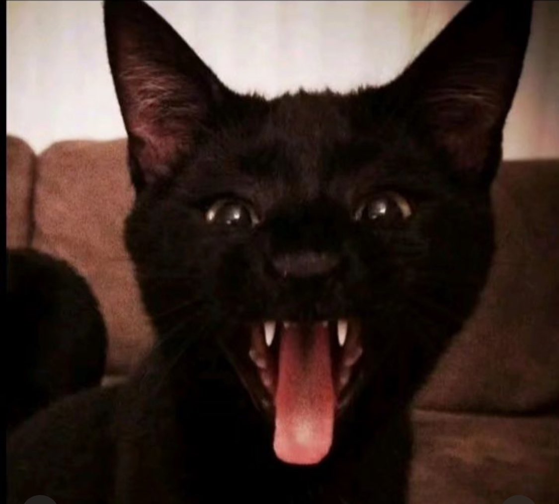 t0ki089's tweet photo. 😼 https://t.co/W9rT2lSnsO