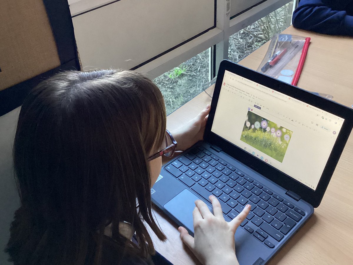 IPMATTowngate's tweet photo. With our vector drawings, year 6 then added copies of their images to a background to make them look more realistic. #year6TPA #computingTPA https://t.co/nfONpnmtPz