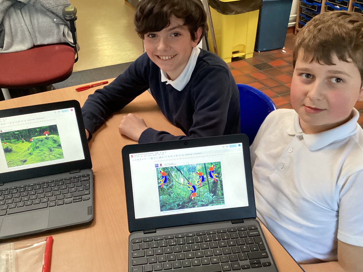 IPMATTowngate's tweet photo. With our vector drawings, year 6 then added copies of their images to a background to make them look more realistic. #year6TPA #computingTPA https://t.co/nfONpnmtPz