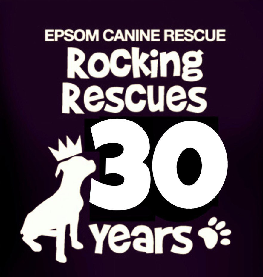 Epsom Canine Rescue 🐶 (@epsomcanine) on Twitter photo 2024-01-15 15:05:16