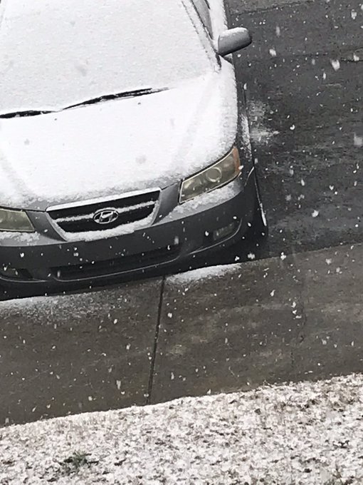 Snow is coming down hard in Chattanooga ❄️☃️⛄️🌨 📸 @StormTrack9Bill @AHarrisonTV @StormTrack9Dave @Local3News