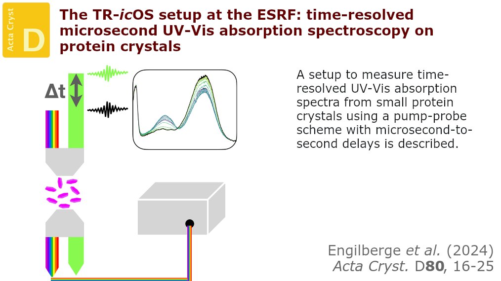 ActaCrystD's tweet photo. A setup capable of measuring time-resolved UV–Vis absorption spectra on macromolecular crystals on the microsecond-to-second timescale has been built at the icOS Lab at the @ESRFsynchrotron #PumpProbeSpectroscopy #InCrystalloOpticalSpectroscopy https://t.co/STsHXPsLwt https://t.co/qqA9anFr6w