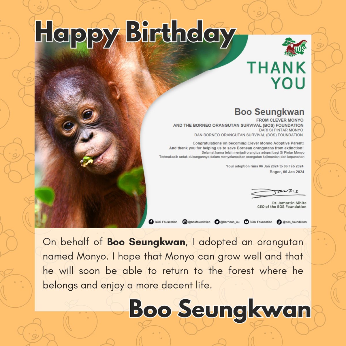 Happy Birthday, Boo!
I adopted an Orangutan named Monyo on behalf of Boo Seungkwan's name through BOSF to celebrate Seungkwan's birthday!
You deserve all the love in the world, my Boo.

 #승관이는_우리의_숨이니까_생일축하해
#뿌이팅해야지_오늘은_승관이날
#happyBOOday @pledis_17