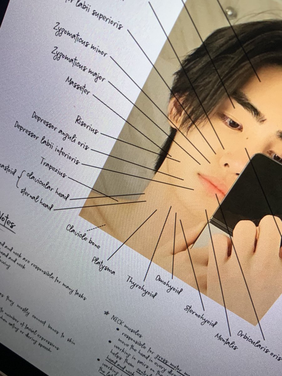 mapanaginipin's tweet photo. anatomy with park sunghoon 🫀 https://t.co/Vd1JXUNf7I