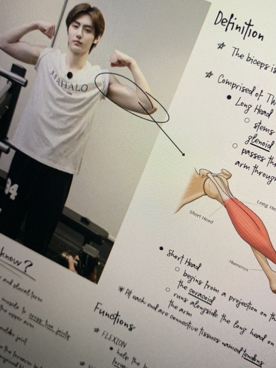mapanaginipin's tweet photo. anatomy with park sunghoon 🫀 https://t.co/Vd1JXUNf7I