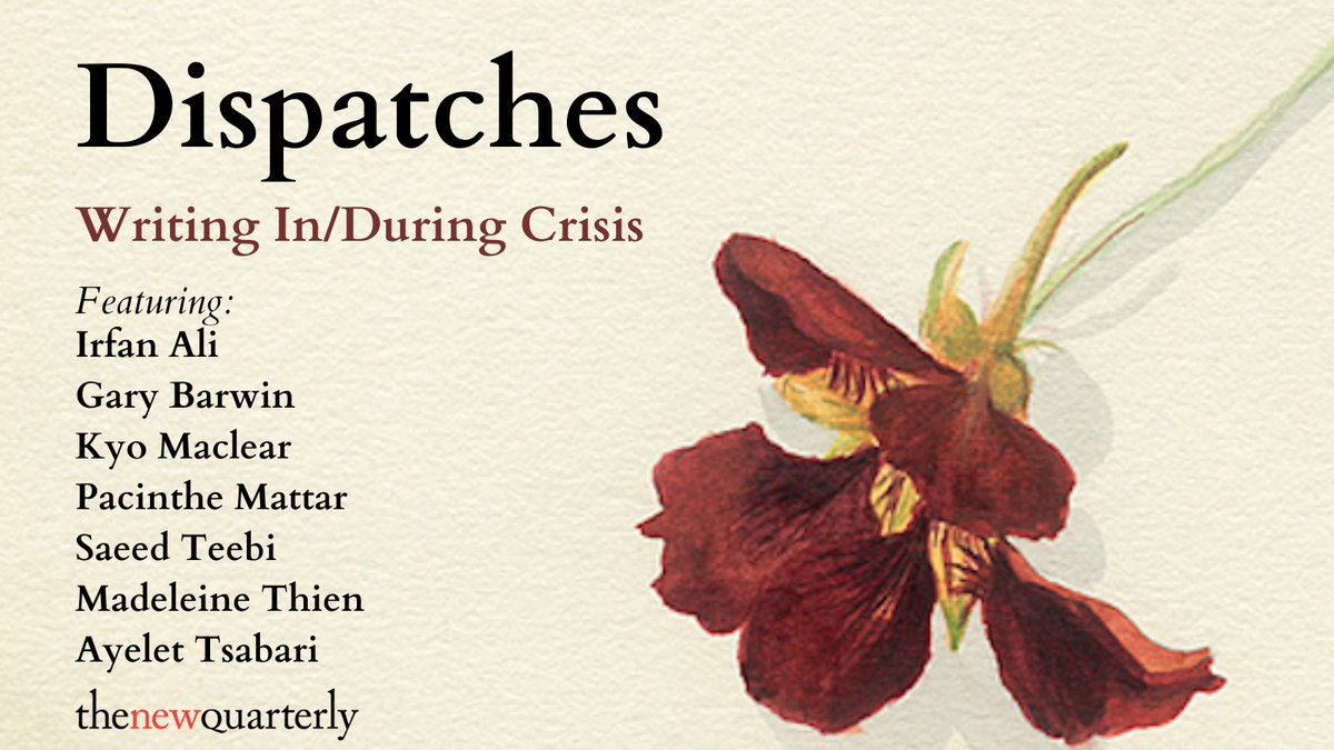 What does it mean to be a writer in times of political and moral crisis? TNQ asked previous contributors and writers we love to ruminate on their different experiences of finding (and losing) language in the face of heartbreak and human devastation: tnq.ca/dispatches/