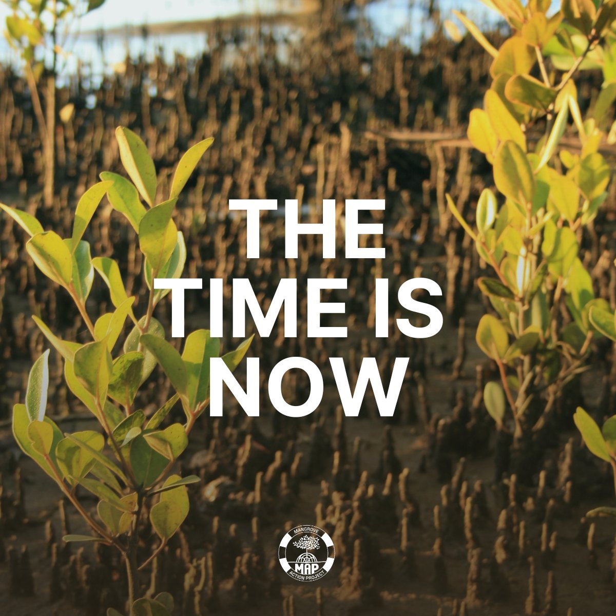 🏔 Today, the annual <a href="/WEF_Unofficial/">WorldEconomicForum (PARODY)</a> starts in #Davos under the theme "Rebuilding Trust" and, at MAP, we want to trust that #nature-based #solutions will make it into the agenda.