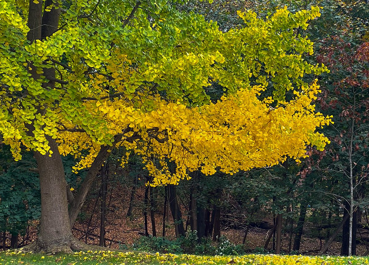 Jose R. Lopez tweet media