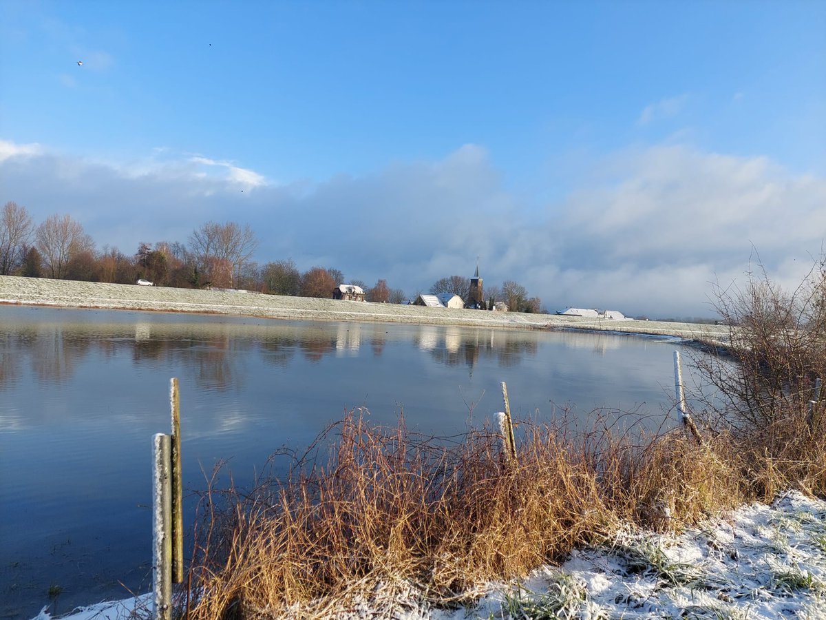 VANLTCW's tweet photo. De uiterwaarden staan al een lange tijd onder water. Het water blijft in de rivieren hoog. Nu zakt het. Binnenkort komt het weer wat omhoog. Onze runderen en paarden lopen al ruim 8 weken op de hoogwatervluchtplaats. . De dieren krijgen op tijd hun voer. Alles is onder controle. https://t.co/uhNkrjo1hx