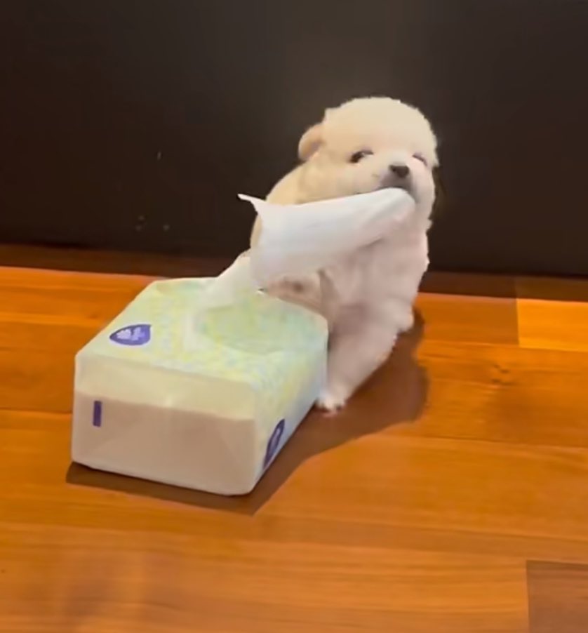 dogonboo's tweet photo. เห้ย มั่ยขาดฟะ https://t.co/pn5Fp52vbG