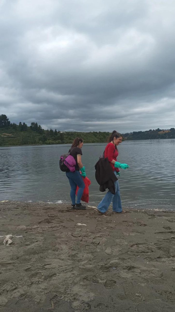 ChiloeMinga's tweet photo. Hermosa jornada de ayer, dejamos nuestros letreros como parte de la acción en la limpieza de la zona costera de Lillo.
#mingachiloe #castro #chiloe https://t.co/19WDWjzKPJ