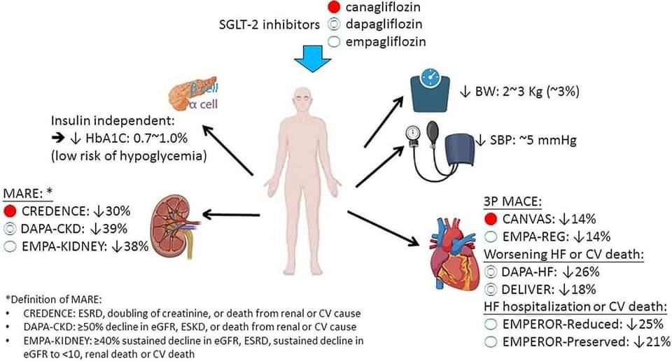 ZHeart11768530's tweet photo. Recent advances in the treatment of type 2 diabetes mellitus using new drug therapies #2024Review 

https://t.co/NfglhtzlSW
 #Cardiology #CardioTwitter #2024Review #openaccess #CardioEd https://t.co/UxDImu3GT9