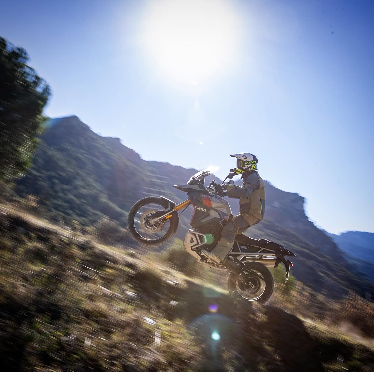 Triumph España tweet media